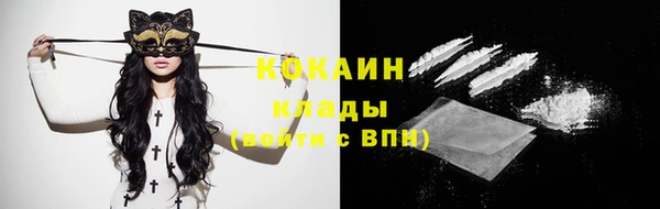 mdpv Белокуриха