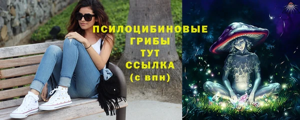 mdpv Белокуриха