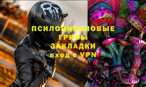 ПСИЛОЦИБИНОВЫЕ ГРИБЫ Баксан
