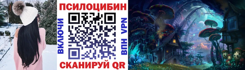 Псилоцибиновые грибы Psilocybe  цена   Чекалин 