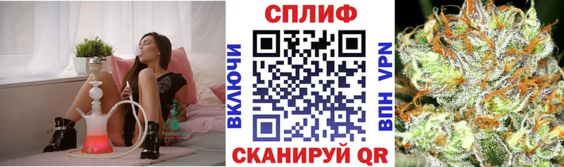 Каннабис Amnesia  Чекалин 